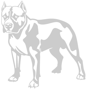 Bulldog vector