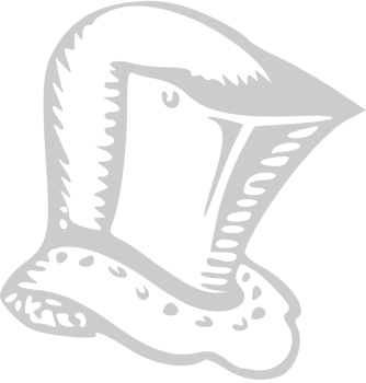 Cavalier vector