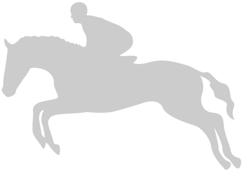 Cowboy vector