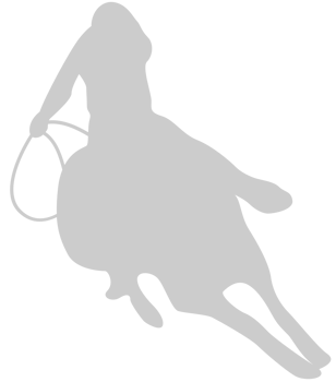 Cowboy vector