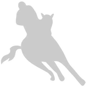 Cowboy vector
