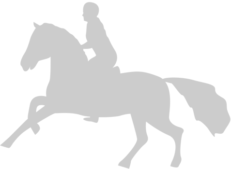 Cowboy vector