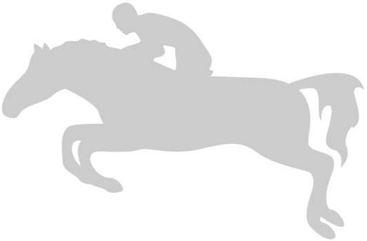 Cowboy vector