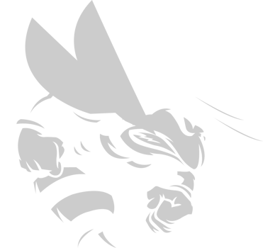 Hornet vector