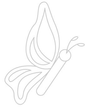 Butterfly vector