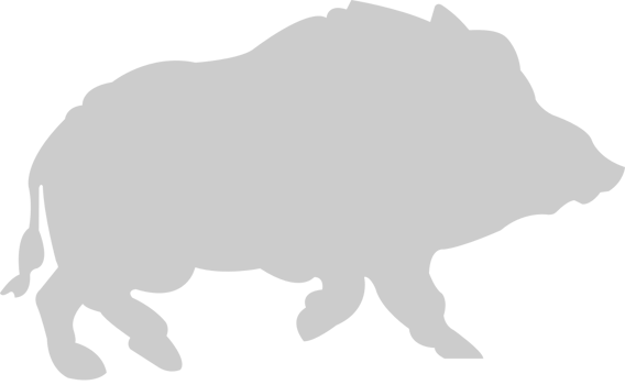 Razorback vector