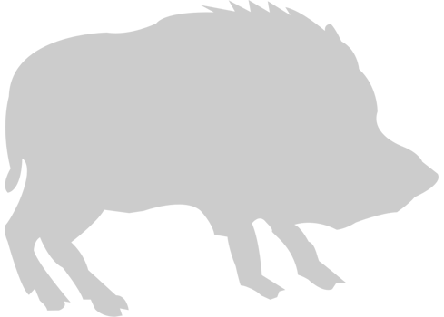 Razorback vector