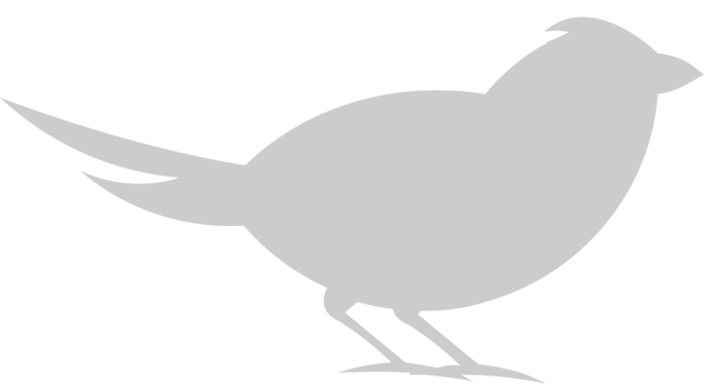 Cardinal vector