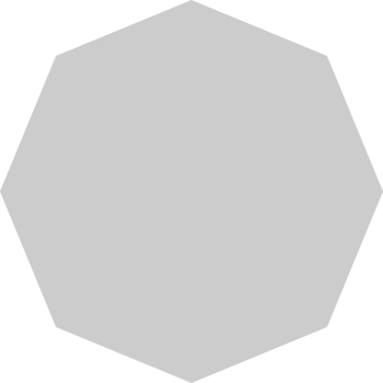 Octagon vector