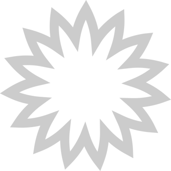 Starburst Flower vector