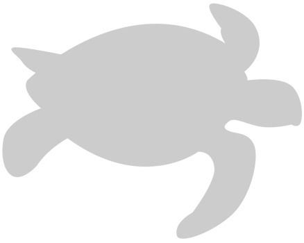 Turtle vector