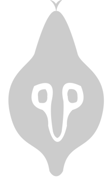 Cobra vector