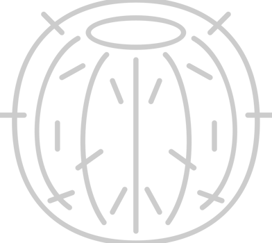 Cactus vector