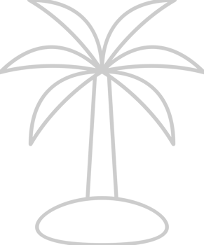 Palm Tree vector