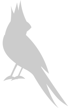 Cardinal vector