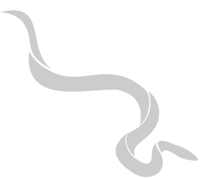 Snake vector
