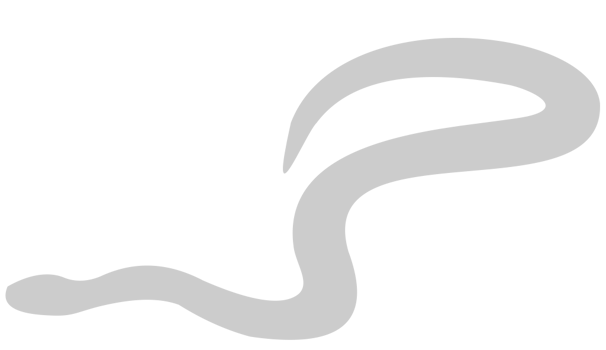 Snake vector