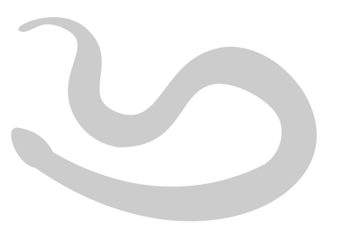 Snake vector