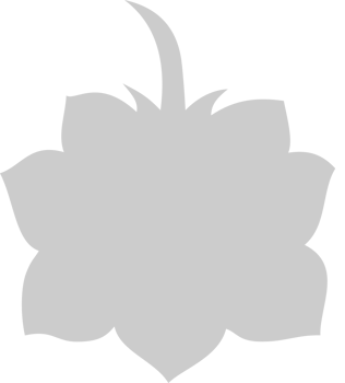 Lotus vector