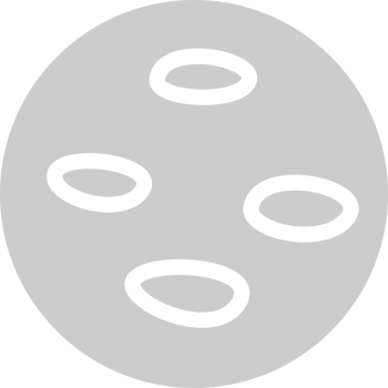 Moon vector