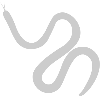 Snake vector