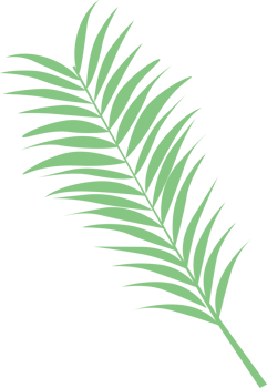 leaf palm vector
