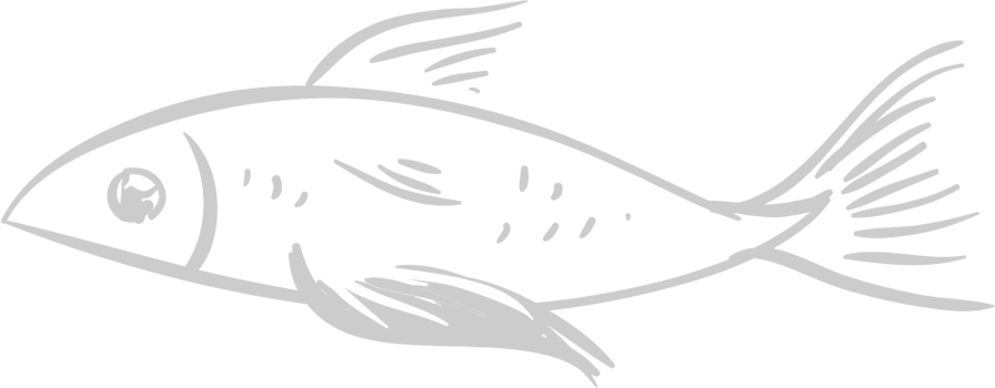 Fish vector