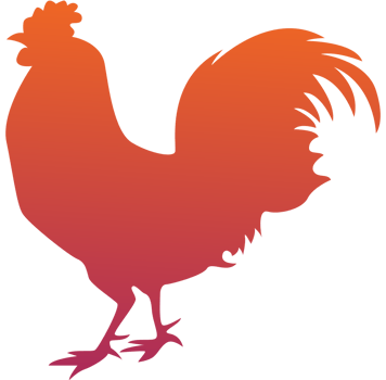 Chicken vector