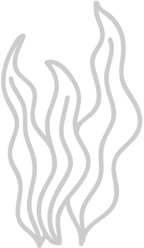 Seaweed vector