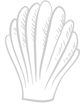 Shell vector