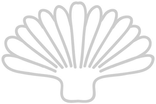 Shell vector