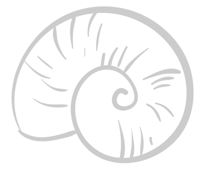 Shell vector