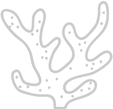 Coral vector