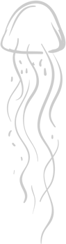 Jellyfish vector