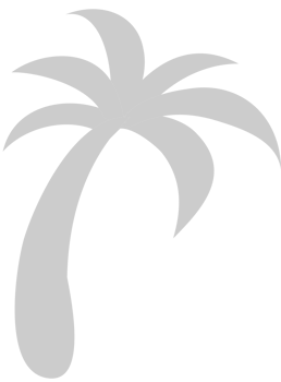Palm Tree vector