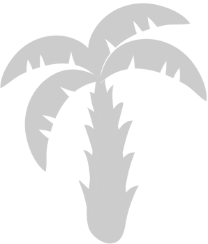 Palm Tree vector
