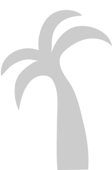 Palm Tree vector