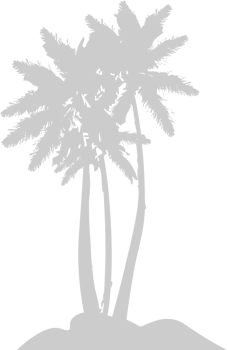 Palm Tree vector
