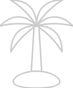 Palm Tree vector