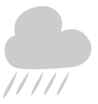 Rain vector