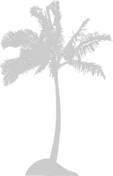 Palm Tree vector