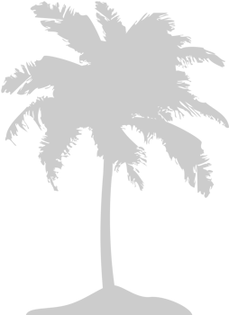 Palm Tree vector