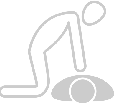 CPR vector