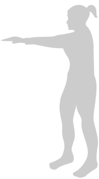 Work Out vector