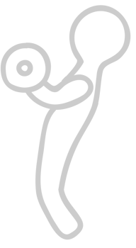 Weight Lifting vector