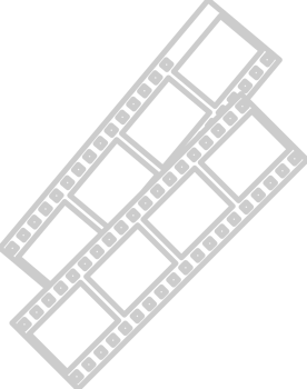 Photo Negatives vector