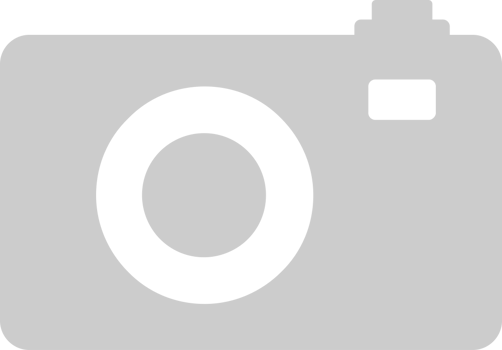 Camera vector