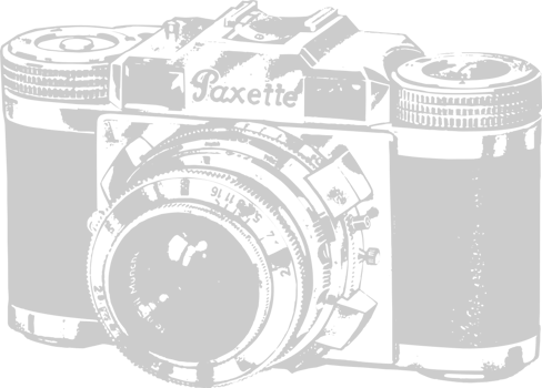 Camera vector
