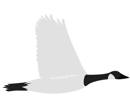 goose vector