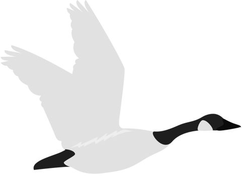 goose vector